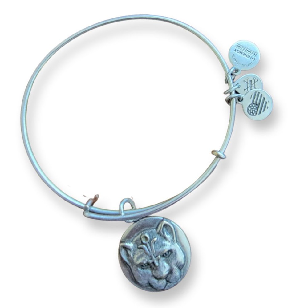 Alex and Ani Wild Heart Bracelet
